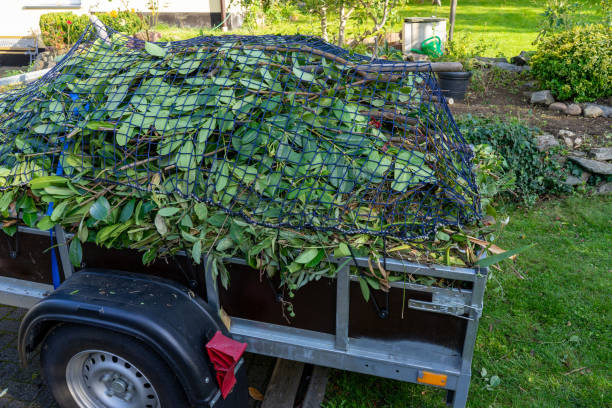 Best Estate Cleanout  in Lockland, OH